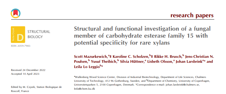 indbio_chalmers's tweet photo. Check out the paper by Indbio researcher Scott Makurkewich where he and his collaborators investigate an carbohydrate esterase enzyme from the fungus Lentithecium fluviatile with potential specificity for rare xylans.
https://t.co/IcS1vn2Pu7
#xylans #CE15 https://t.co/UiRDFszU5V