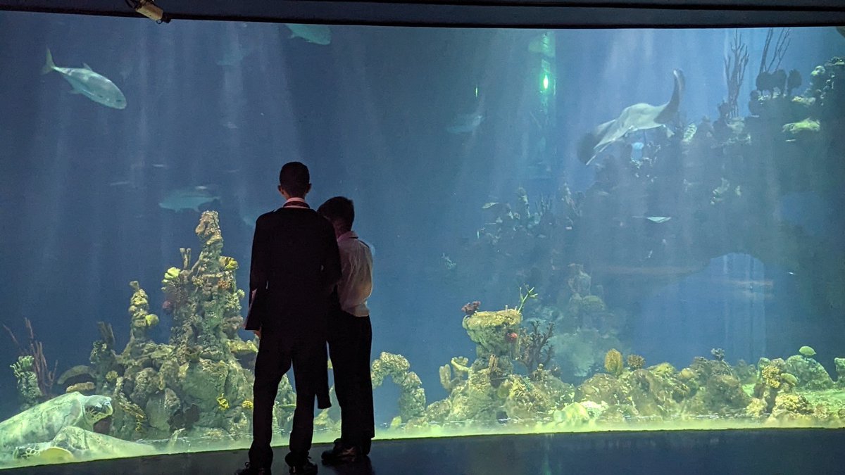 🌊 Happy World Oceans Day 🌊
Today is World Oceans Day, this is something we as an academy feel very strongly about given our links to the Maritime Industry.
This week Eco Club took a trip to The Deep to learn more about conservation and the impacts humans have on our oceans. 🌎