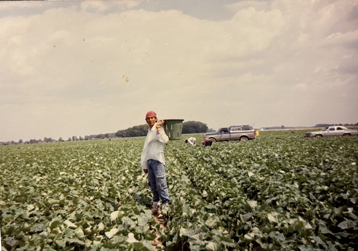 Miguel Castillo, BS, MS Ed 🍎🍊🍓 (@miguelmigrant) on Twitter photo When I get asked how an immigrant, EB, at-risk, eco dis, and migrant graduated & beat the odds👉🏽: structured schools & teachers. Teachers and school leadership is the key 🔑. Me picking pickles in Ohio in 1987. #TBThursday #tbt #migranteducation #edchat #latinoleaders #SiSePuede When I get asked how an immigrant, EB, at-risk, eco dis, and migrant graduated & beat the odds👉🏽: structured schools & teachers. Teachers and school leadership is the key 🔑. Me picking pickles in Ohio in 1987. #TBThursday #tbt #migranteducation #edchat #latinoleaders #SiSePuede