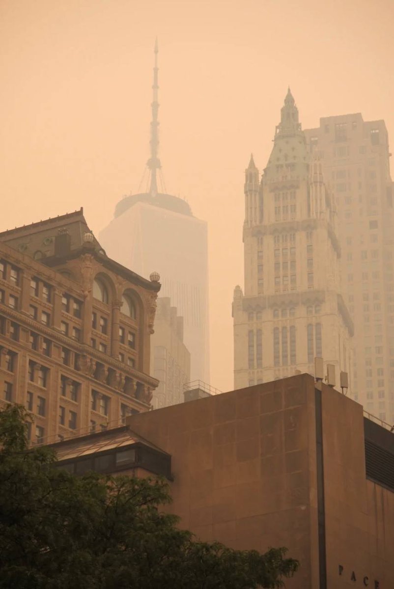 devvarun58's tweet image. New York was affected by the Canadian wildfires. The sky is now this color....