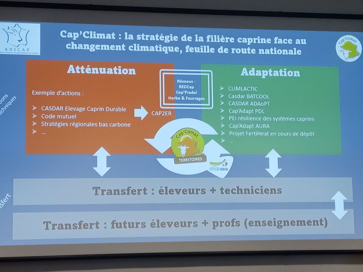 Journée de lancement du projet cap'climat. Etat des projets #caprins pour s'adapter au changement climatique en 🇫🇷 ; réflexion sur le transfert dans l'#EnseignementAgricole, repenser les systèmes d'élevage pour s'adapter. 
#SynergieCaprine #laventureduvivant