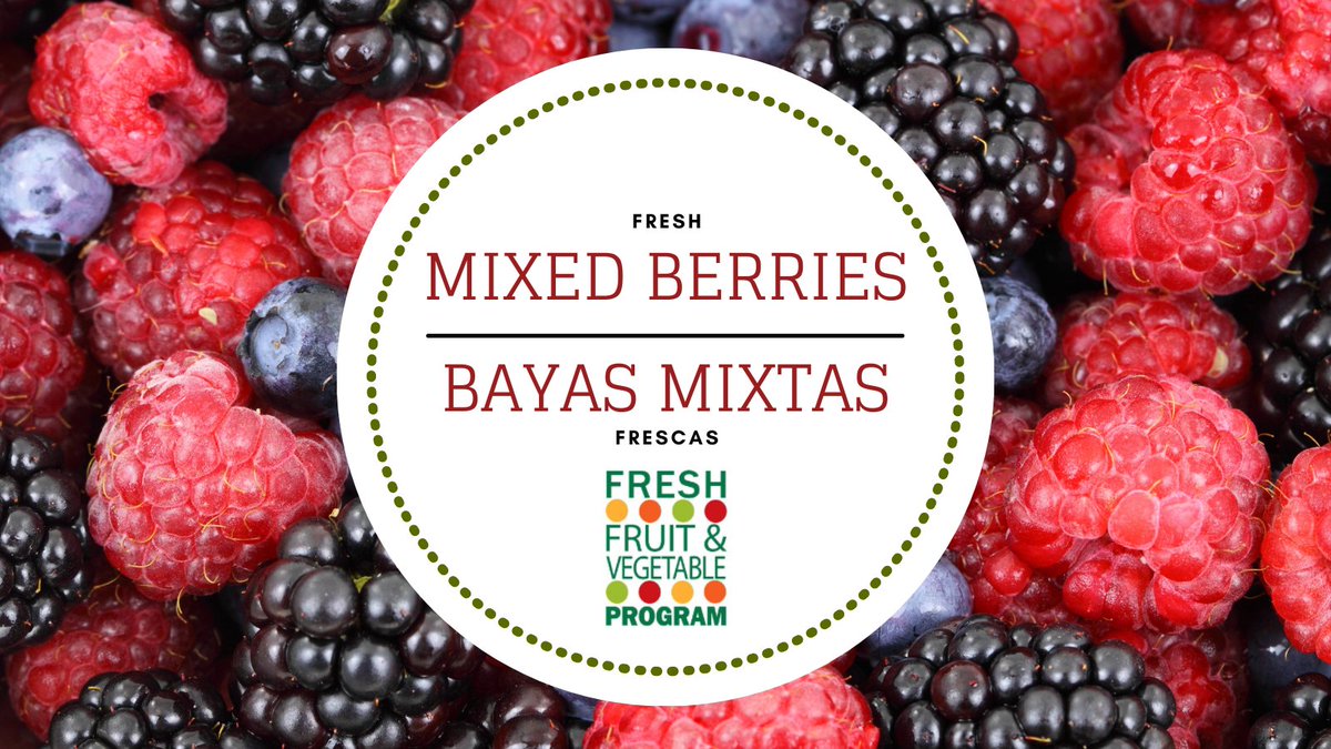 sodexopvd's tweet photo. Today we have mixed berry cups for the #FFVP!
@pvdschools @ElementaryZone @RISNPEd @sodexoUSA https://t.co/4MIbepCLWd