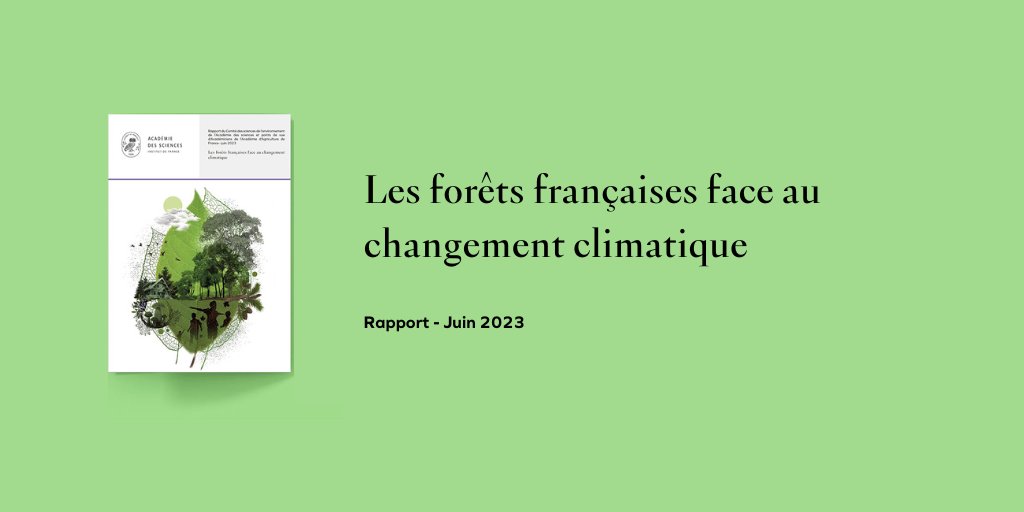 AcadSciences's tweet photo. @sleguilFR Pour lire le rapport "Les #forêts françaises face au #changementclimatique", disponible en libre accès  👉https://t.co/zs5J0JmnAu https://t.co/L6iT2ZYcwE