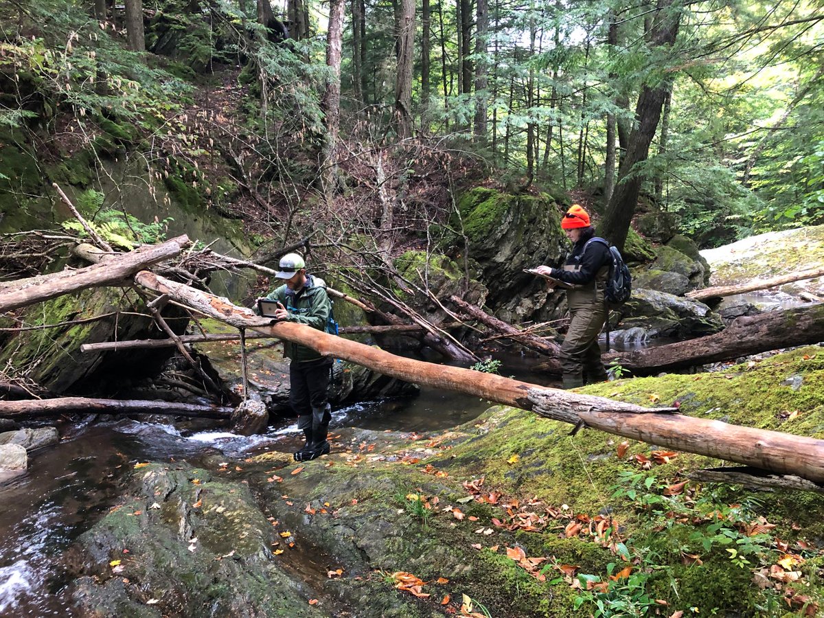 Did you know that over 75% of our rivers have been impacted by mismanagement or altered to accommodate farming and development. We are working across VT with other groups on reconnecting our waterways. Read more about our freshwater work: nature.ly/3OYdE71
