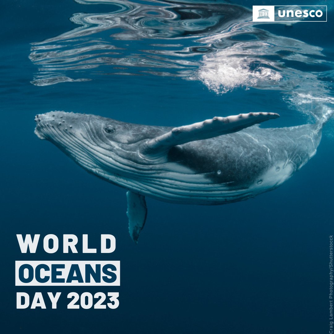 Happy #WorldOceansDay!

The Ocean connects, sustains and supports life. It is on us to take full responsibility and do the necessary to #SaveOurOcean!

Here's how: on.unesco.org/3quV2RN #OceanFirst