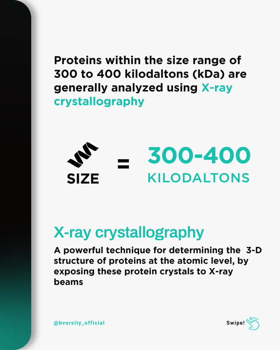 Bversity_'s tweet photo. Swipe to dive into the world of proteins!

#bversity #jobplacement #placement #lifescience #biotechnologist #biotechnology #bioinformatics #lifesciencejobs https://t.co/Me2QqKvqZ4