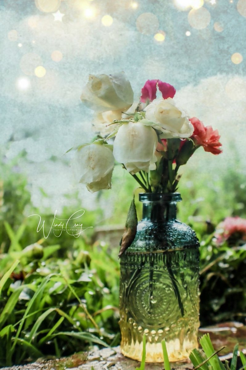 A small vase of flowers with an overlay of golden sparkles. 

etsy.com/listing/147786…

#AYearForArt #ArtMatters #BuyIntoArt #photography #photo #Art #Texas #Summer #WallArt #windycraig #GiftIdeas