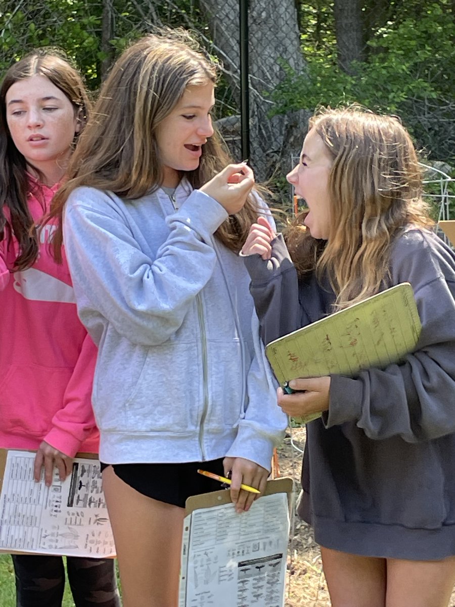 Sixth graders visited the Teak Sherman Garden yesterday as a part of their poetry unit. They worked with John Belber from Holly Hill Farm to learn about the community garden which was then uses as inspiration to compose poems with sensory language and imagery @ScituateSchools