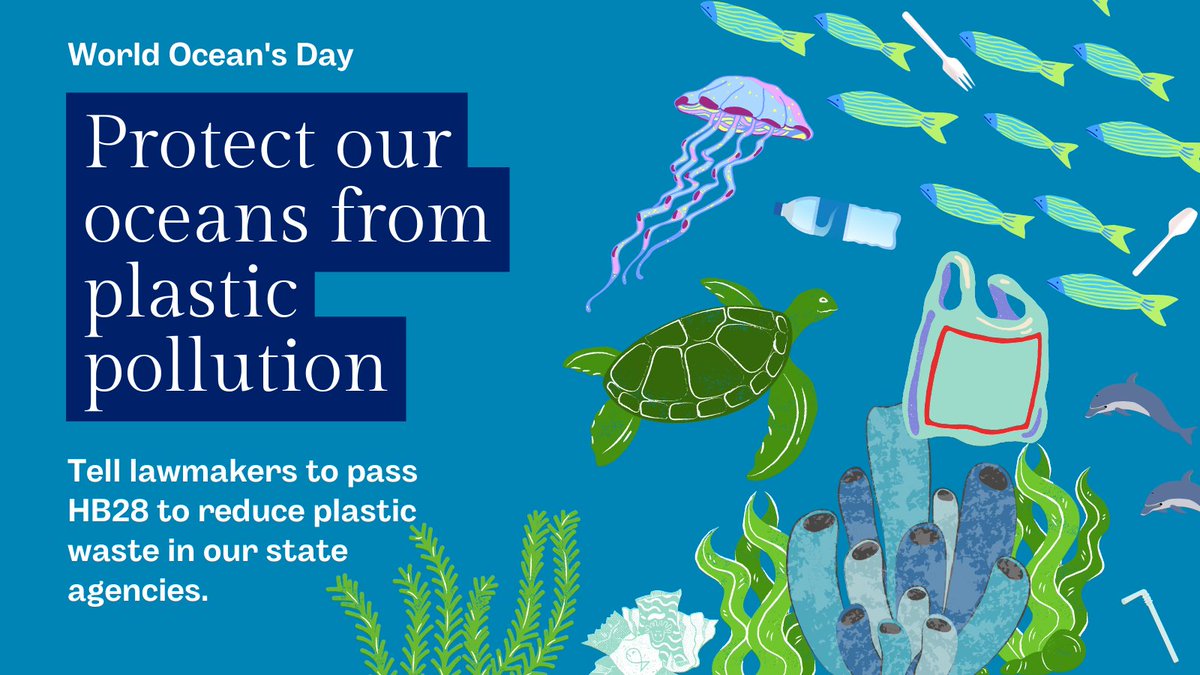 Happy #WorldOceanDay2023! We are celebrating today by taking steps to address one of the biggest threats our oceans face--plastic pollution. 

Click here to tell your NC lawmakers its time to move our state  beyond plastics: pirg.org/northcarolina/…