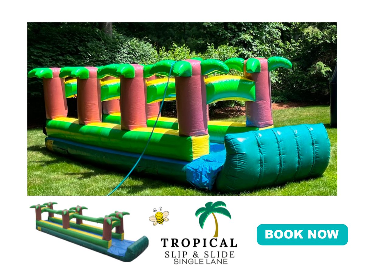 BusyBeeJumpers's tweet photo. Put some Palm Trees in your backyard🌴🌴- https://t.co/fHXs0RnvYk https://t.co/KgFeuI2xss