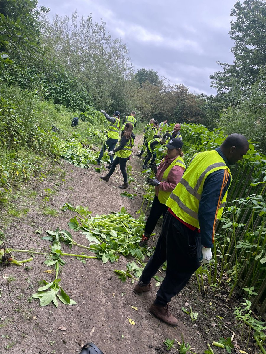 aimeecornflake's tweet photo. The @YHAHSN Staff Away Day at Fryston Country Park. The whole team got involved in practical conservation activities designed to maintain the area and increase the biodiversity of the site. #socioeconomic #teambuilding #yhgroundwork @GroundworkYorks https://t.co/G99hRe2KcU