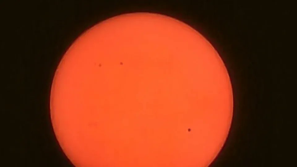 VieneTeoria tweet media