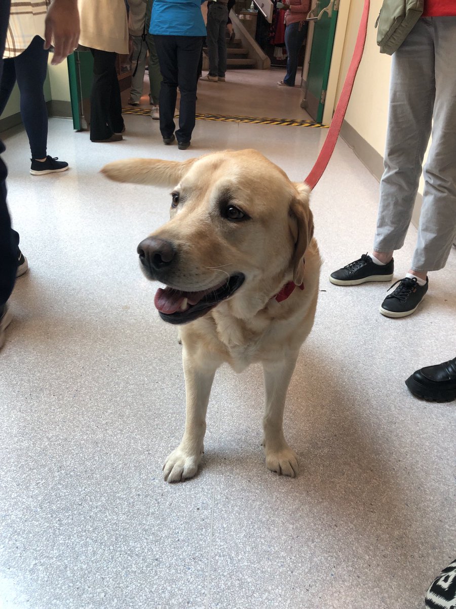 Terri Irwin tweet media