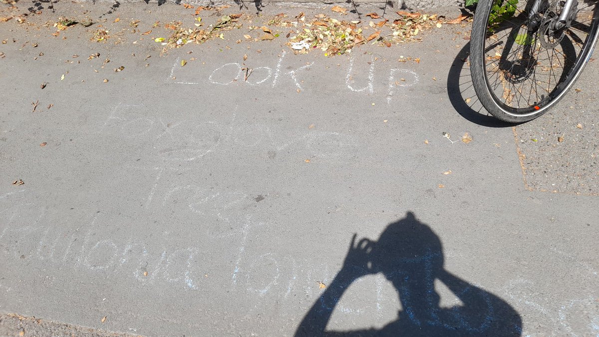 Hannah Gardiner (they/them) tweet media