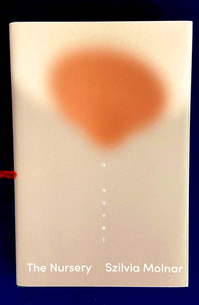 The sky in New York looks just like this. A good time to stay in with @szilmolnar’s novel. Bracing, to-the-bone prose. This book finds ghosts in the everyday (as does the cover design by Linda Huang for <a href="/PantheonBooks/">Pantheon Books</a>)