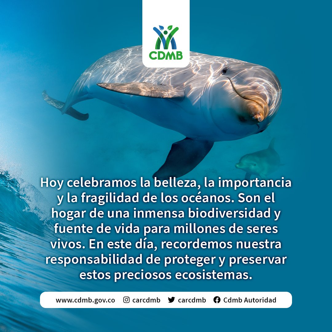 De acuerdo con la ONU, los plásticos representan al menos el 85% de los desechos y de aquí al 2050 podría haber más plásticos en los océanos que peces 🐟😨.

En el #DíaDeLosOcéanos, el llamado es por una planeta #SinContaminaciónPorPlásticos: a reducir, reutilizar y rediseñar.