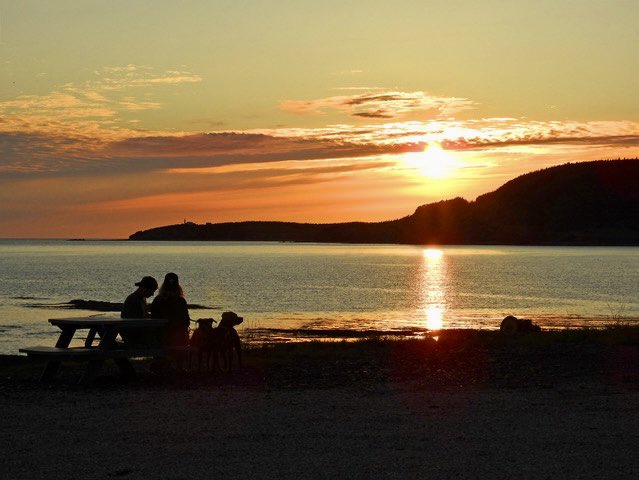 Stan Collins tweet media