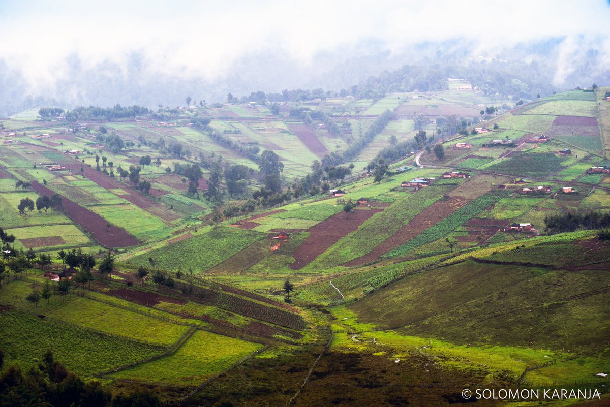 eldowasco's tweet photo. Preparing to attend the #GrowAMilli campaign launch for Eldoret-Iten Water Fund to create a sustainable future for our environment. Let's gear up for tomorrow, June 9th, and make a difference together!
@WaterFundAfrica
@Nature_Africa https://t.co/IDbYrUFNEK