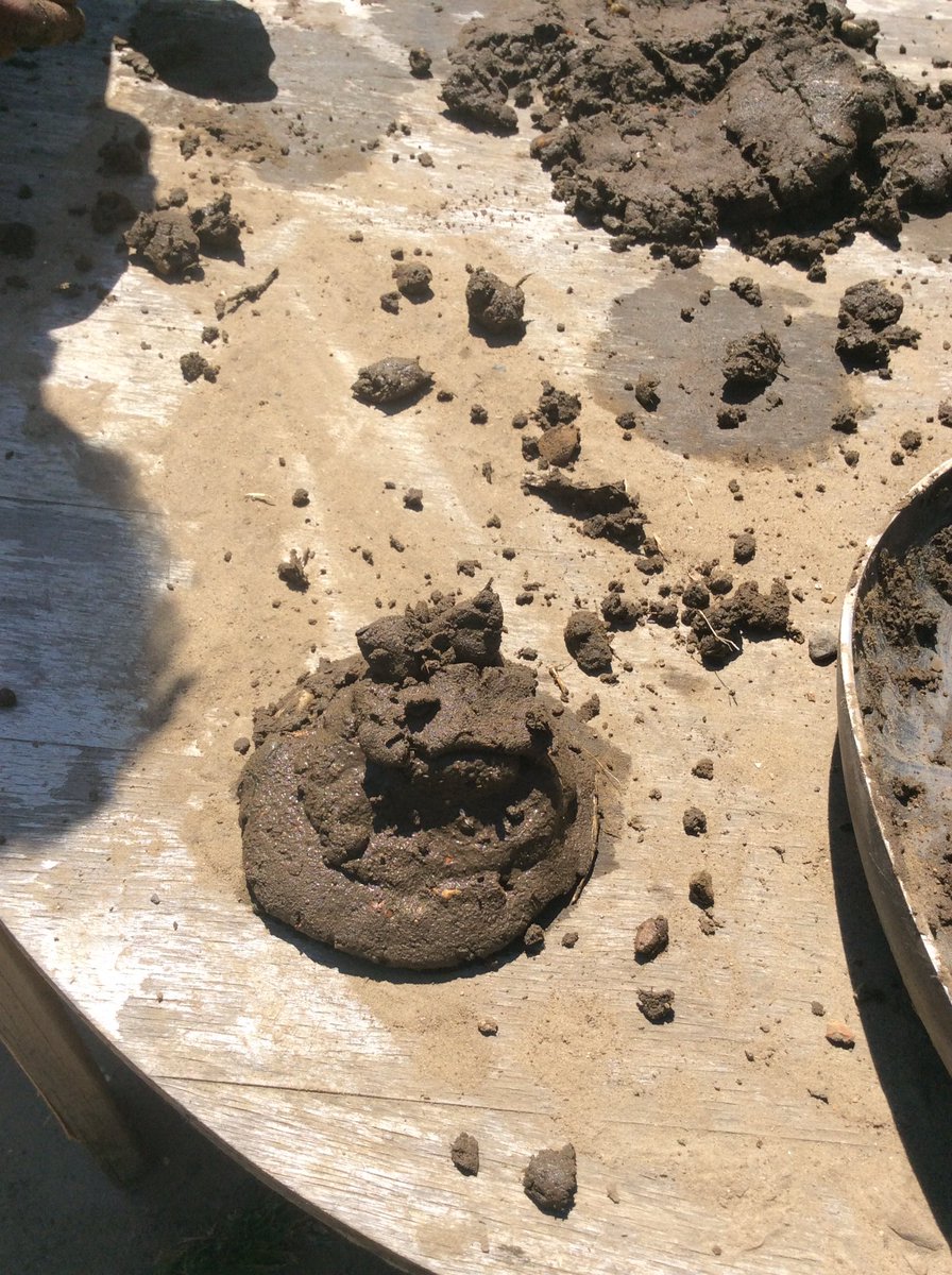 Foxfield EYFS Walnut tweet media