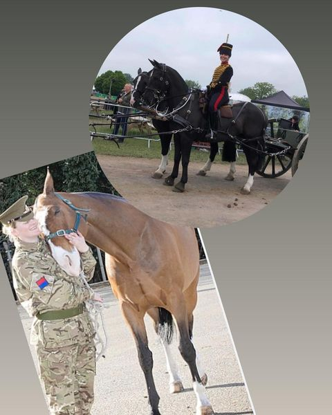 Calling all horse lovers! 📷 Are you interested in giving a military working horse a loving home? Whether you are looking for a competition horse, field companion or light hack, we’ve got you covered - King's Troop RHA and the Household Cavalry Mounted Regiment horses