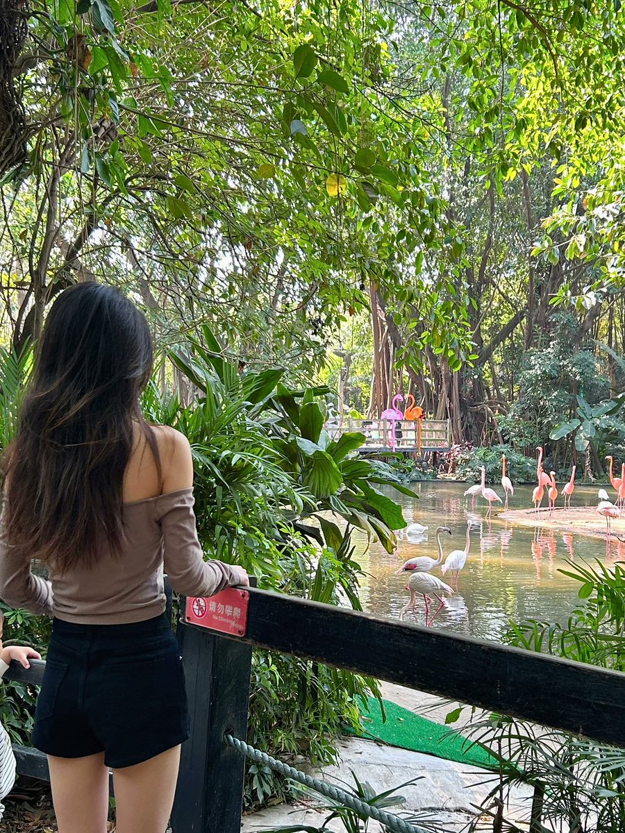🌿 Immersed in the beauty of nature at the Sydney Zoo, surrounded by lush greenery and fascinating creatures! 🌳🦋 #NatureParadise #WildernessEscape