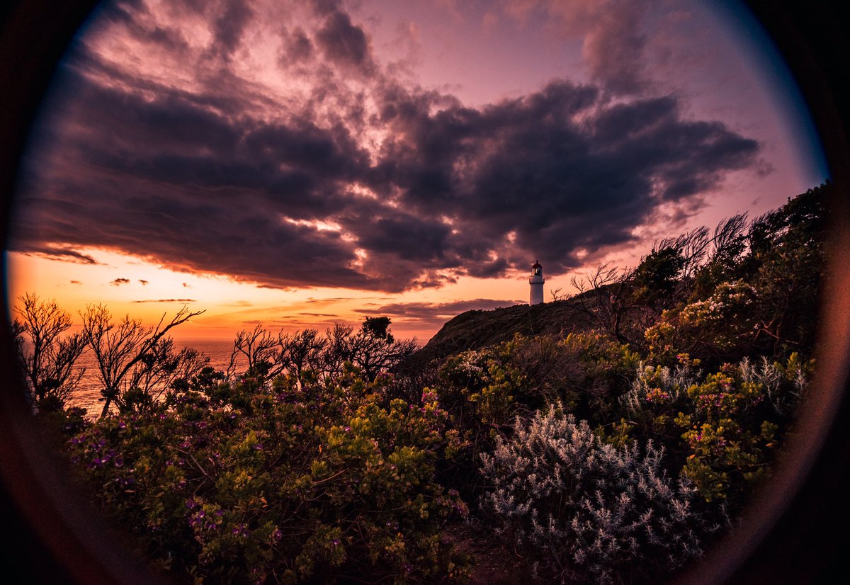 Gm! On this #WorldOceanDay2023, I’m happy to see “Nature’s Garden at Sunset” captured at Cape Schanck coast collected by my web3 sis @HindAbuelgasim 💕💕

Hind, as a holder of 3 pieces from The Sun Memories, you’ll receive the next piece in the collection as an AIRDROP! 🙌🏾🎉

⬇️