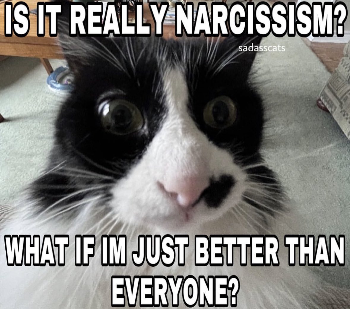 literallymecats's tweet photo. https://t.co/XmLKa5GuxL