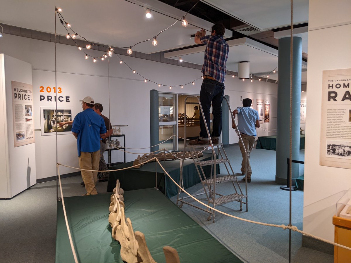 Paleontologizin's tweet photo. The new "Dippy" exhibit at @PrehistoricMus is elegantly simple, and definitely worth a visit for anyone interested in the history of that most famous of sauropods.  It's really cool seeing the cast bones RIGHT up close, and the text is excellent 👍 https://t.co/XhyPl8QWua