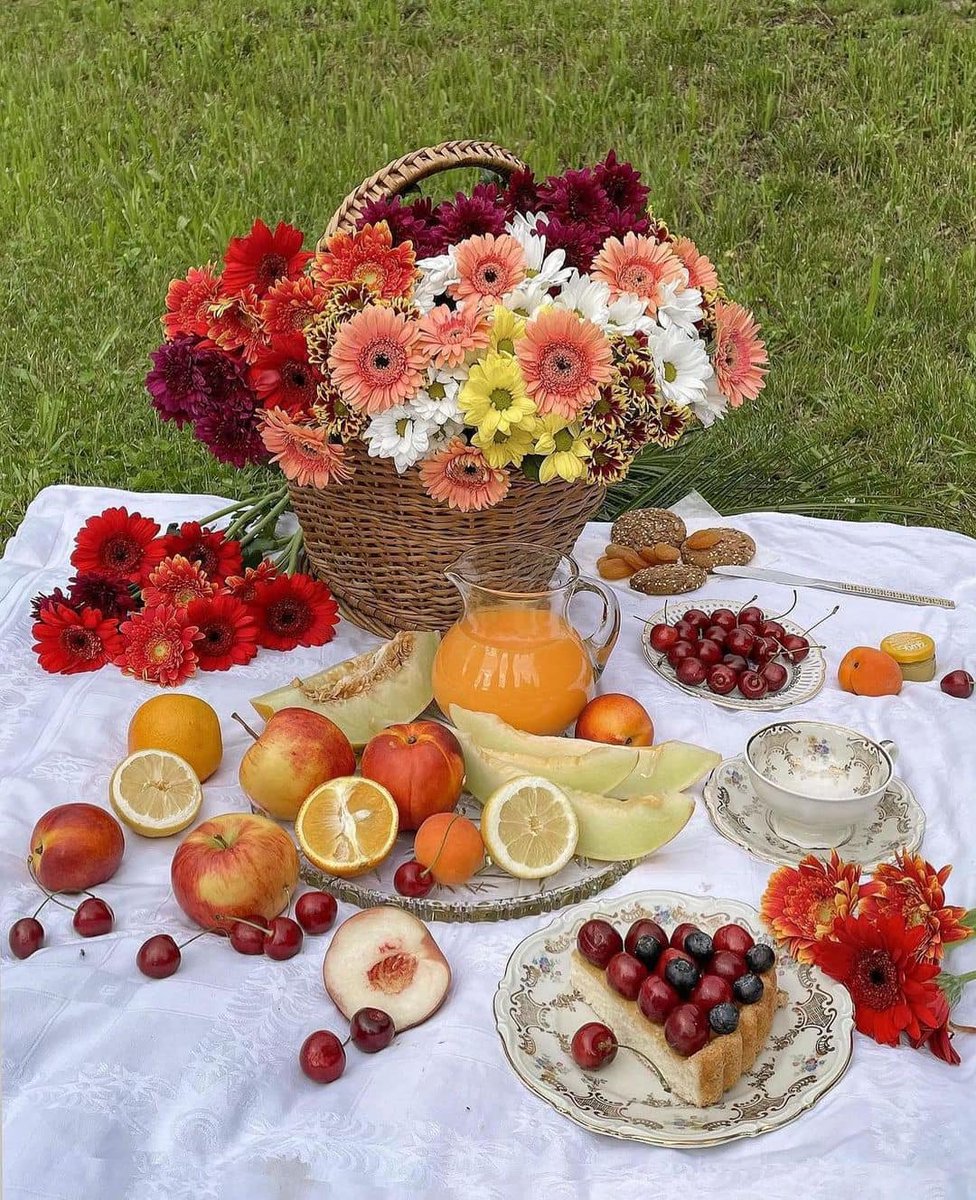 picnic date 🌺🌷