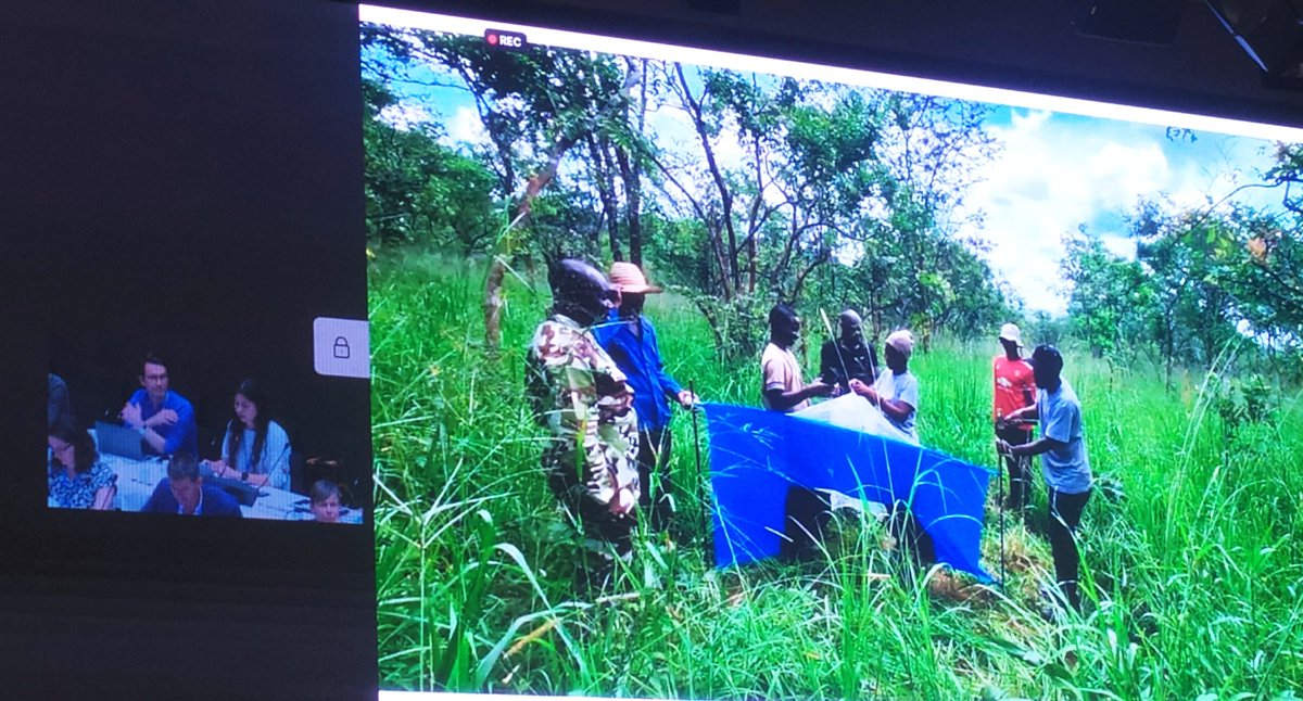 tsetse_org's tweet photo. Our @InakiTirados and @MondragonShem talking #tsetse at @WHO #Geneva #HAT meeting today.
#vector #control #monitoring #gHAT #rHAT #SleepingSickness #MaladieDuSommeil @LSTMvector https://t.co/2RyAaF1DzL