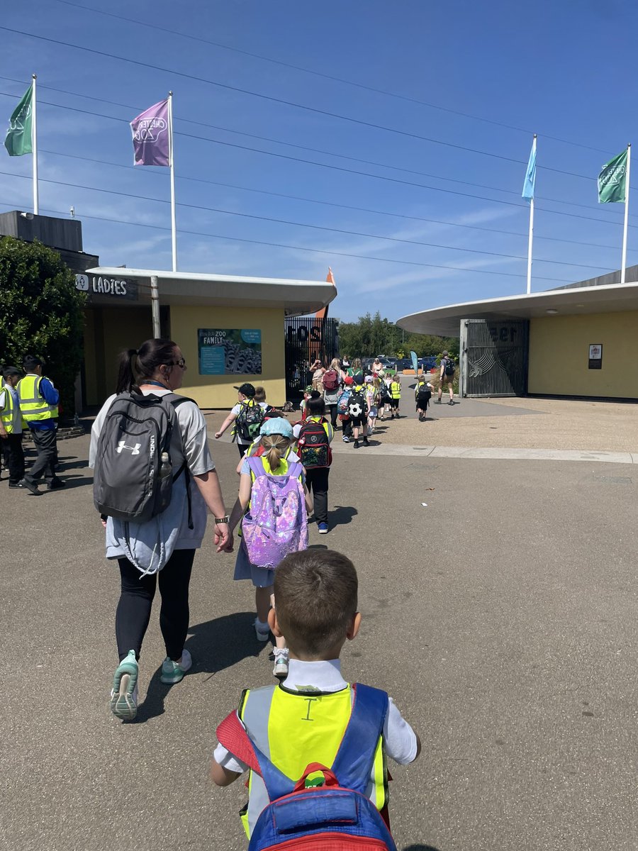 Y1 HighStPrimary tweet media