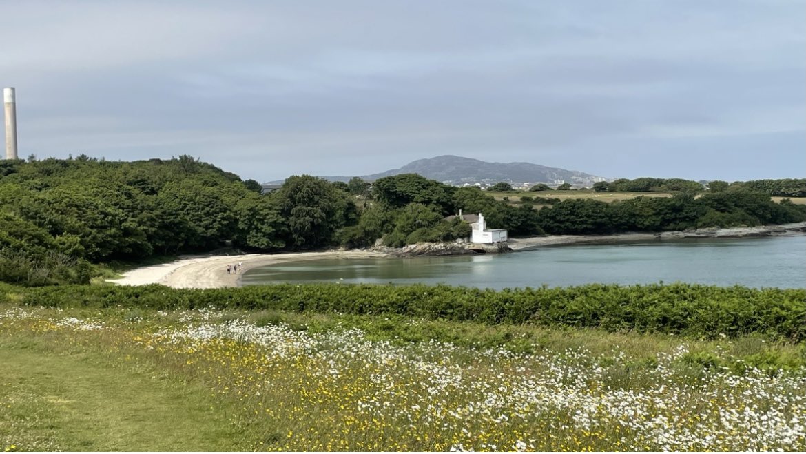 PenrhosSave's tweet photo. A big congratulations to Anglesey Council Planning Committee…. You have won the top award in Wales & Uk…
****🏆 𝐄𝐂𝐎𝐂𝐈𝐃𝐄 𝟐𝟎𝟐𝟑 𝐀𝐖𝐀𝐑𝐃🏆****
A reminder of what you approved yesterday for development, the TRASHING & SMASHING of the 𝐎𝐍𝐋𝐘 Woodland serving the community of Holyhead Anglesey….. 500 holiday cabins on the low lying coast of Holy-Island, an AONB & SSSi. 
Take a look @horton_official @ChiefExecCCC @domdyer70 @KevinClimate @IoloWilliams2 . Who wouldn’t be 😡?
#ClimateDeniers #ClimateCatastrophe #Ecocide #Biodiversity #Naturelovers