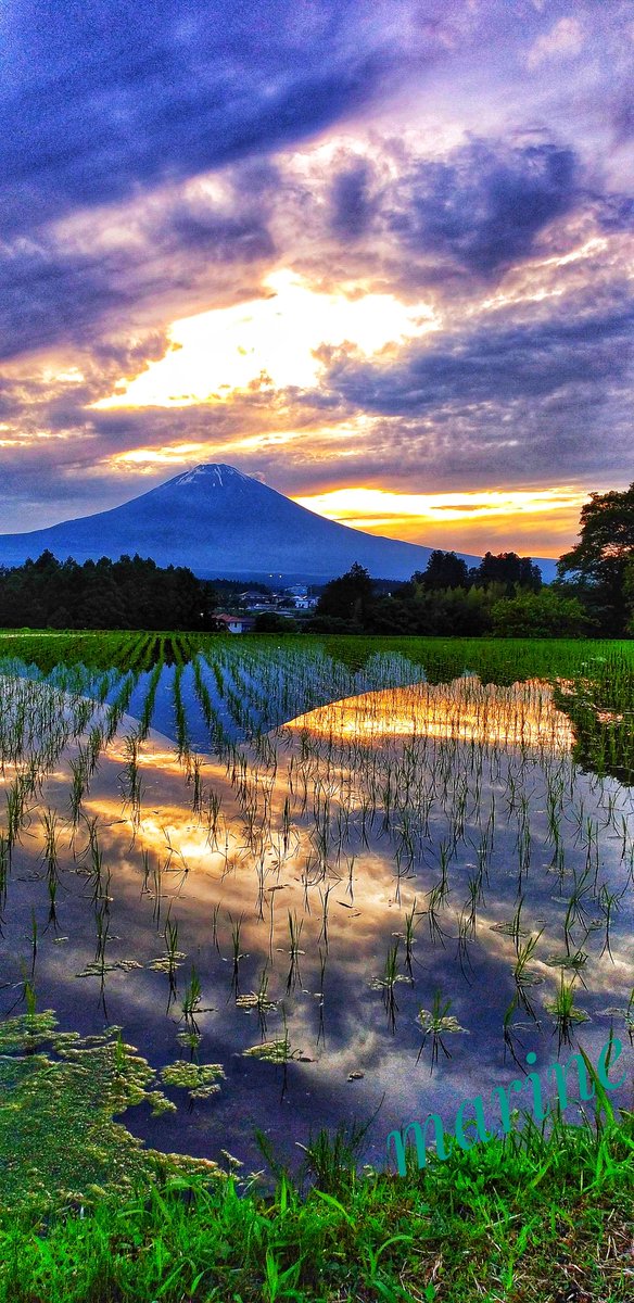 🗻富士山通信🗻 夕焼けの プロローグ✨ 赤く染まる前の 光明✨✨✨ ＃富士山 ＃逆さ富士