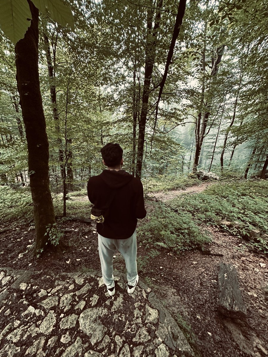 🍃