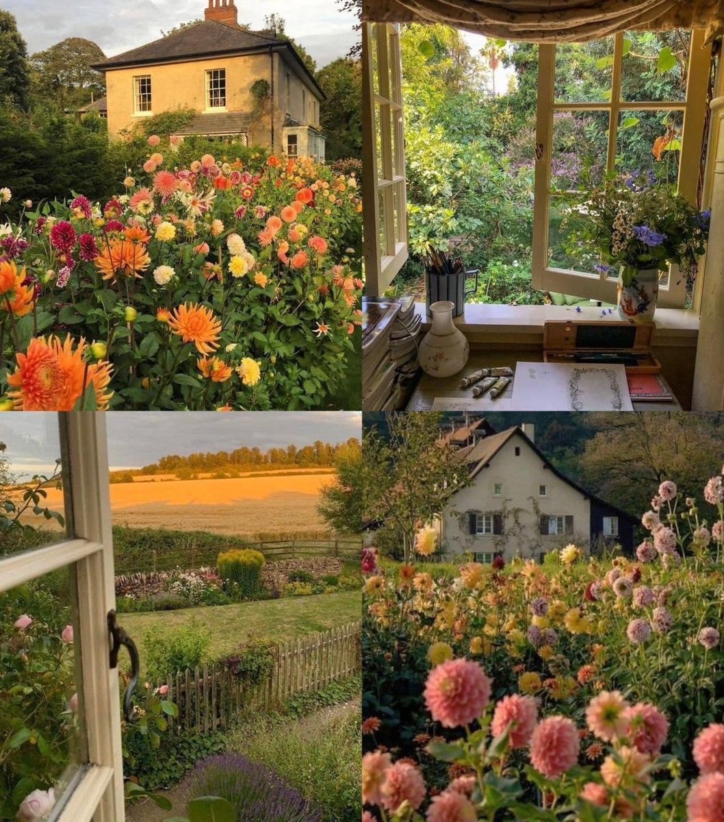 this is all i ever wanted 🌷🌿
