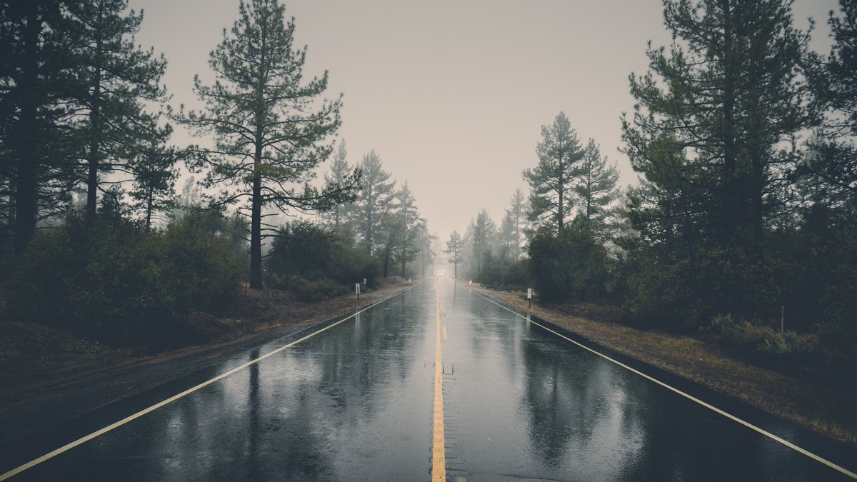 4kkWallpapers's tweet photo. 4k #wallpaper for your #Pc #Rain #Tree #road https://t.co/bVeYaIdcO4