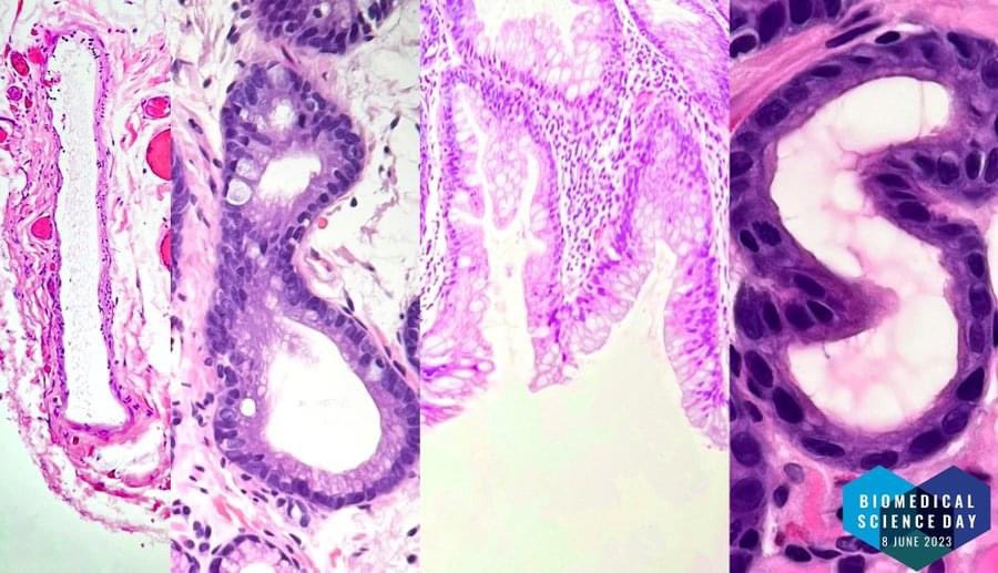 Dan Firth 💙🏳️‍🌈🧫🧪🧬🔬🦠🥼🧫 tweet media