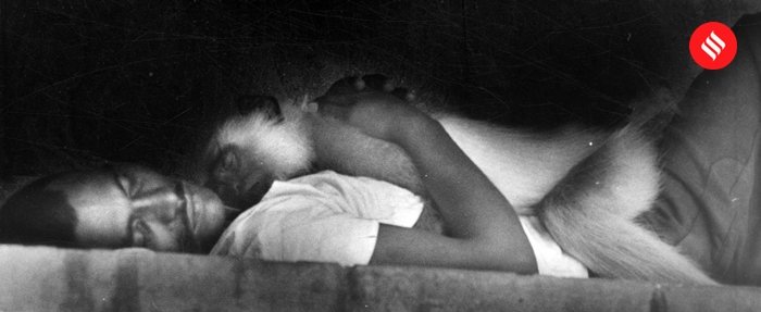 A man and his monkey sleep outside Churchgate station in Mumbai on 19 October, 1997. 

Express photo by Ramesh Nair.

#ExpressArchives