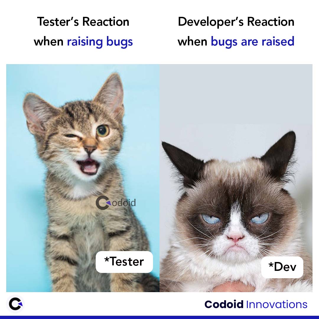 codoid's tweet image. Tester&apos;s reaction when raising bugs vs developer&apos;s reaction when bugs are raised

#codoid #codoidmemes #developertestermemes #softwaretestingmemes #testervsdevelopermeme
