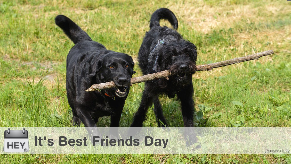 It's Best Friends Day! 
#BestFriendsDay #BestFriendDay #BFF