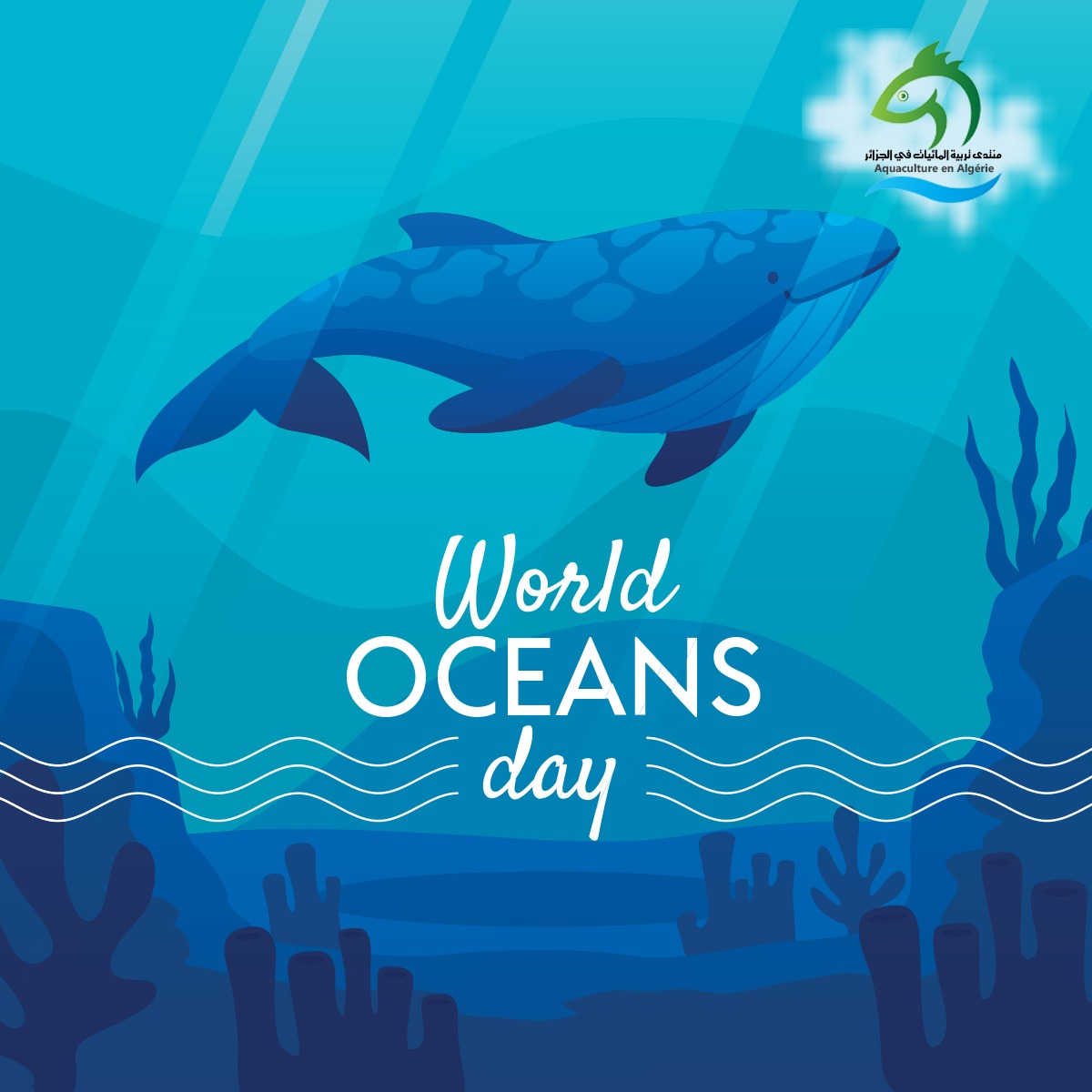 🌊🐟 احتفالًا باليوم العالمي للمحيط، نشجعكم على حماية المحيطات ودعم الاستزراع السمكي المستدام. معًا، يمكننا بناء مستقبل مستدام للأجيال القادمة والاستمتاع بفوائد المحيطات. 🌍💙 #WorldOceansDay #SustainableAquaculture #ProtectOurOceans