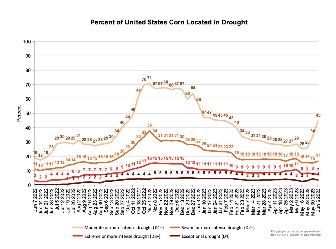 FarmPolicy's tweet image. Percent of United States #Corn Located in #Drought