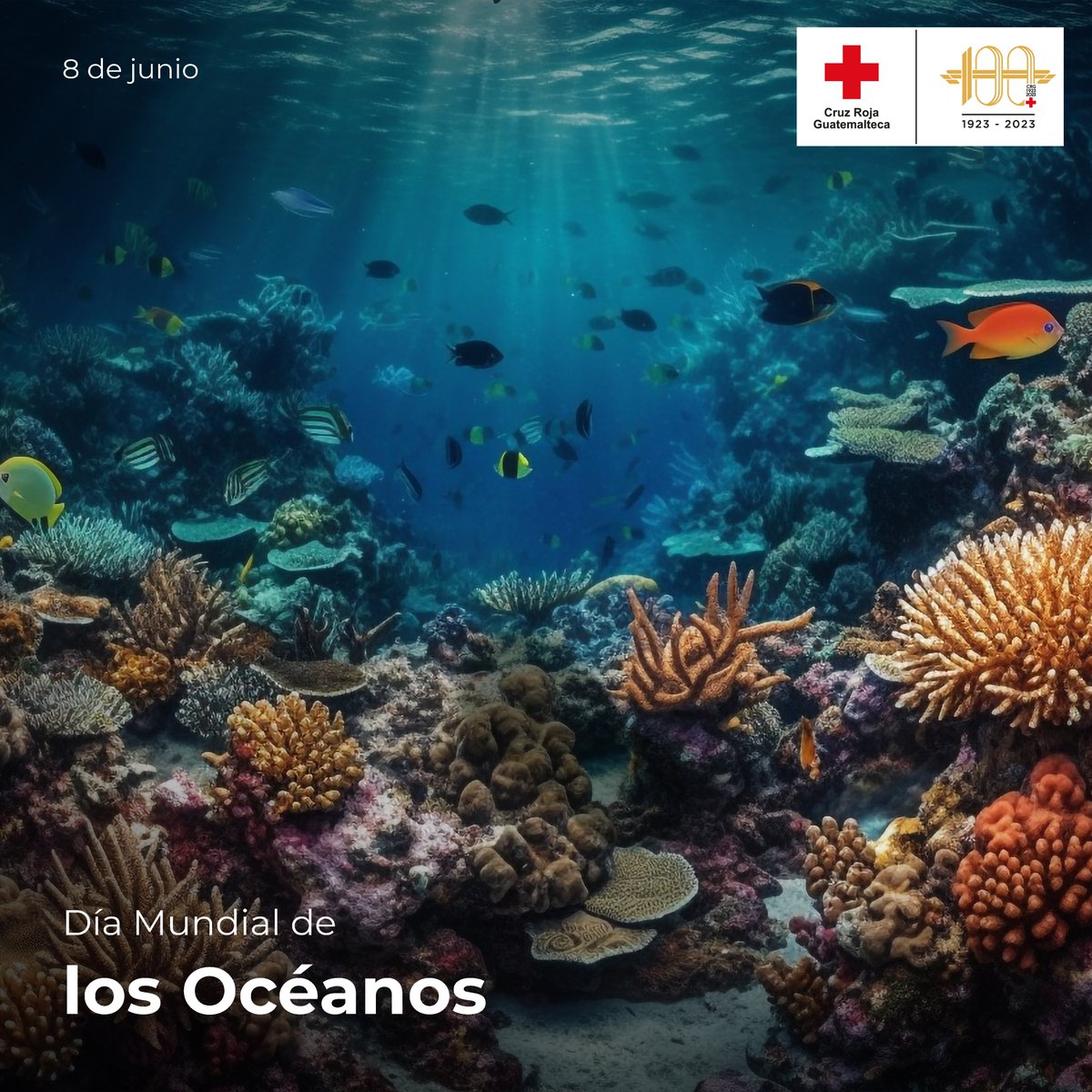 CruzRojaGT_'s tweet photo. 🌊 Día Mundial de los Océanos 🐠 Los Océanos cubren más del 70% del planeta. Son nuestra fuente de vida y sustento de la humanidad y de todos los demás organismos de la Tierra. 🐳 Cuidemos nuestros Océanos 🚑 https://t.co/IlsWaaBUN6