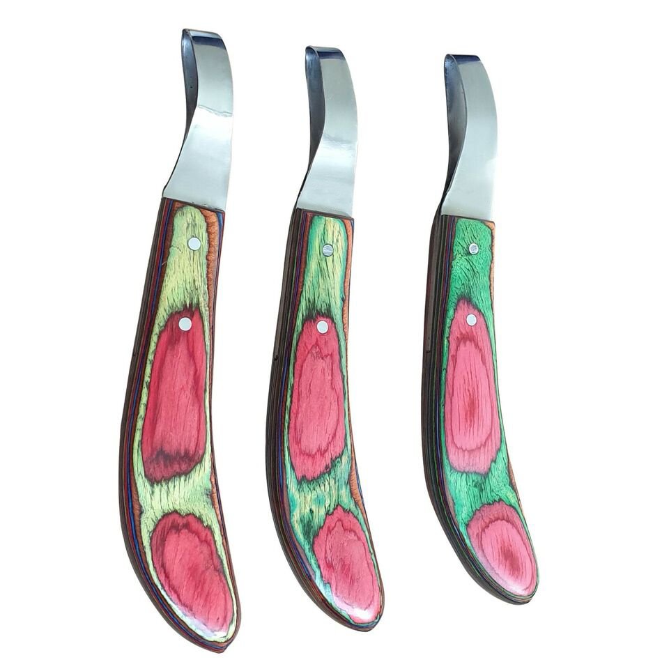 MULTICOLOUR LOOP KNIFE 
Manufacturers &amp; Wholesalers of All kind of Farrier Tools 🐎
☎️ / WhatsApp: +923331979993
Customized Logo Wholesale Prices
🚚 We Ship Worldwide 🌍

#horseshoeing #hufschmied #pony #shoeing #hooftrimmer #handmade #hoofprotection #horserider #loopknife