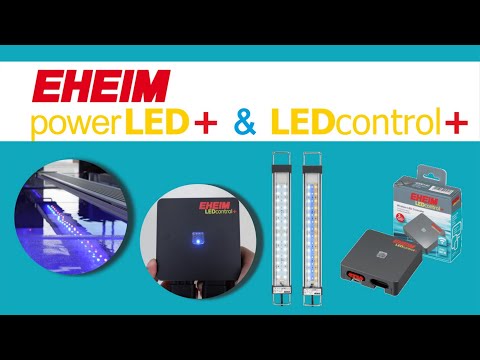 MarineFarmUK's tweet photo. Installation powerLED+ LEDcontrol+ - Unboxing e instalación - Spanisch #Installation #LEDcontrol #PowerLED
https://t.co/aXnxhEeXBI https://t.co/dnXeZ6WyVp