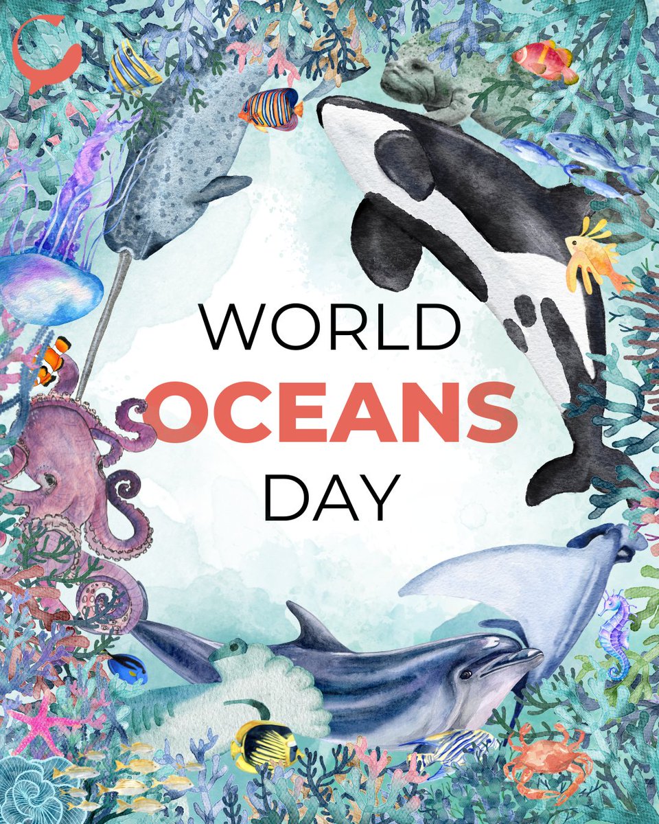 Happy #WorldOceansDay! The ocean covers 70% of Earth's surface and provides many vital services. It generates at least half of the oxygen on Earth, hosts 80% of life, and absorbs 90% of excess heat caused by human-induced climate change. 🧵1/6 @WorldOceansDay