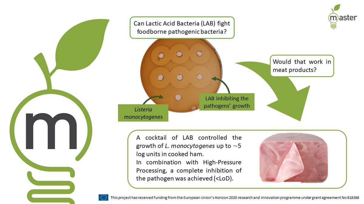 In @MASTER_IA_H2020 we are developing promising alternatives to obtain safer foods! With #LacticAcidBacteria added in different meat products & using various packaging we can control the growth of important pathogens such as Listeria and Salmonella, and of some spoilage bacteria