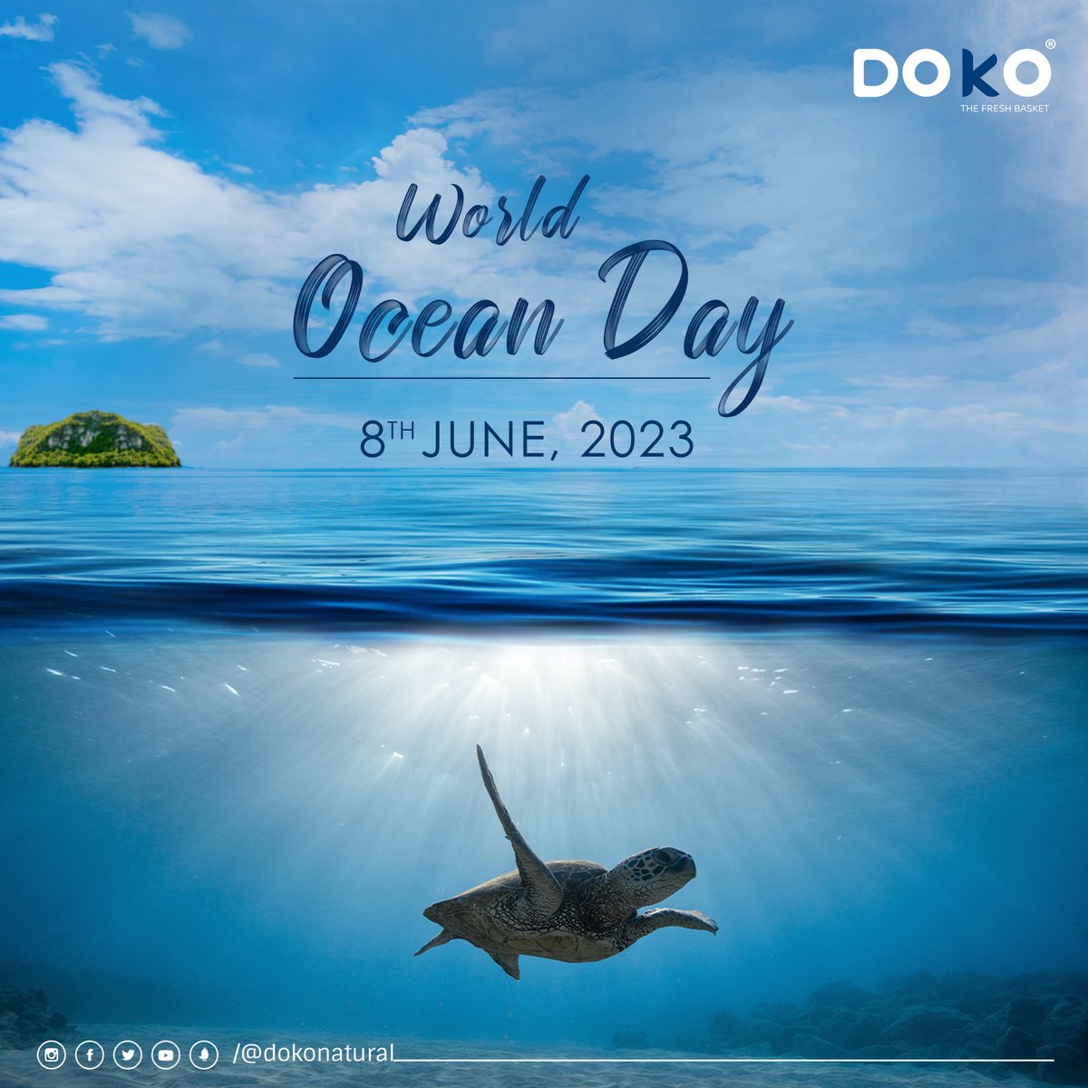 Doko Natural tweet media