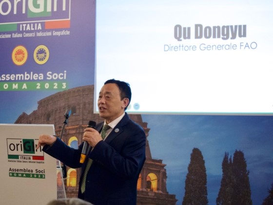 Olio Riviera Ligure tweet media