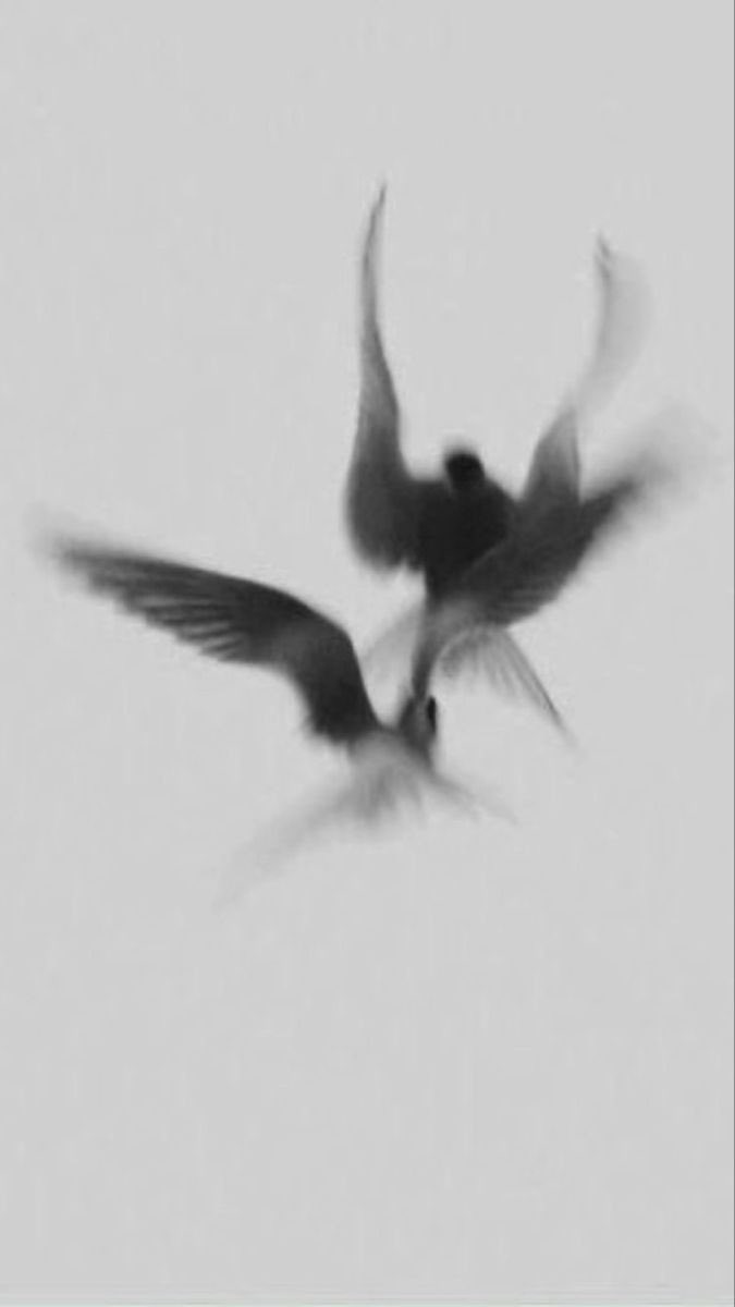 แ
แ
แ
แ
แ
๐๐๐๐๐. tweet media